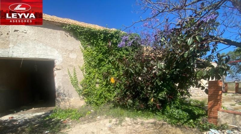 Murcia - Fuente Álamo de Murcia - 1500m2