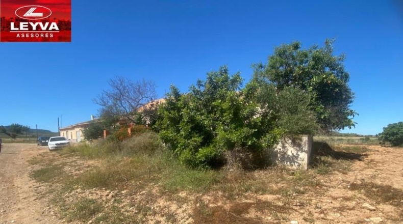 Murcia - Fuente Álamo de Murcia - 1500m2