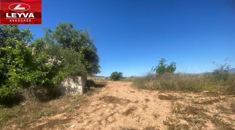 Murcia - Fuente Álamo de Murcia - 1500m2