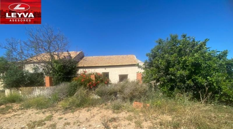 Murcia - Fuente Álamo de Murcia - 1500m2