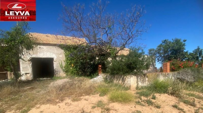 Murcia - Fuente Álamo de Murcia - 1500m2