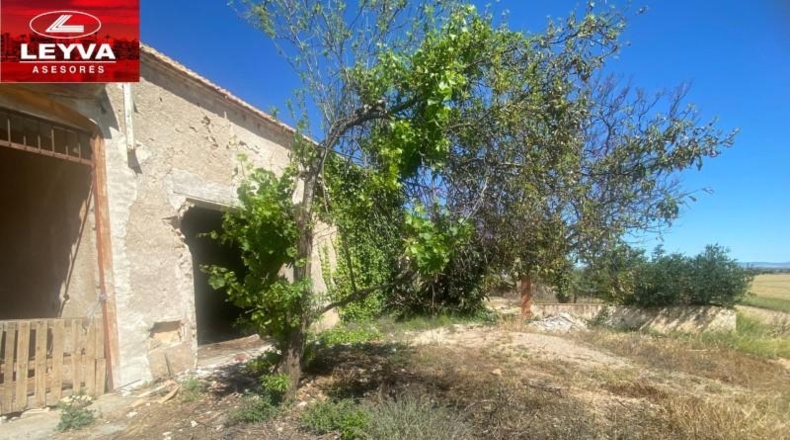Murcia - Fuente Álamo de Murcia - 1500m2