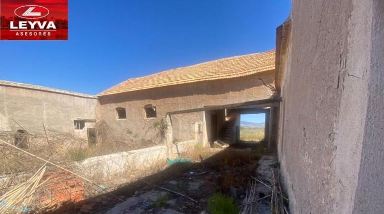 Murcia - Fuente Álamo de Murcia - 1500m2