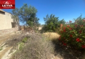 Xalet independent amb terreny en venda a la España, Fuente Álamo, ref.: TR281577 foto