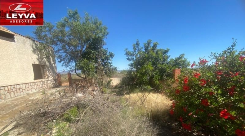 Murcia - Fuente Álamo de Murcia - 1500m2