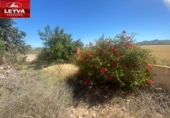 Xalet independent amb terreny en venda a la España, Fuente Álamo, ref.: TR281577 foto