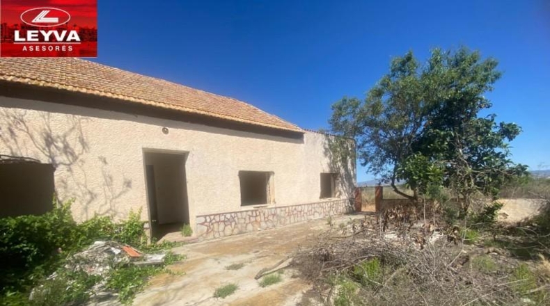 Murcia - Fuente Álamo de Murcia - 1500m2
