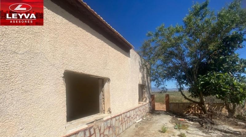Murcia - Fuente Álamo de Murcia - 1500m2