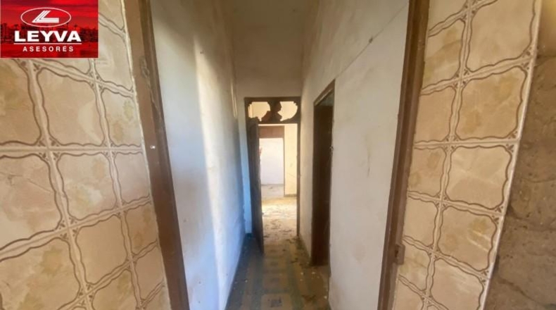 Murcia - Fuente Álamo de Murcia - 1500m2