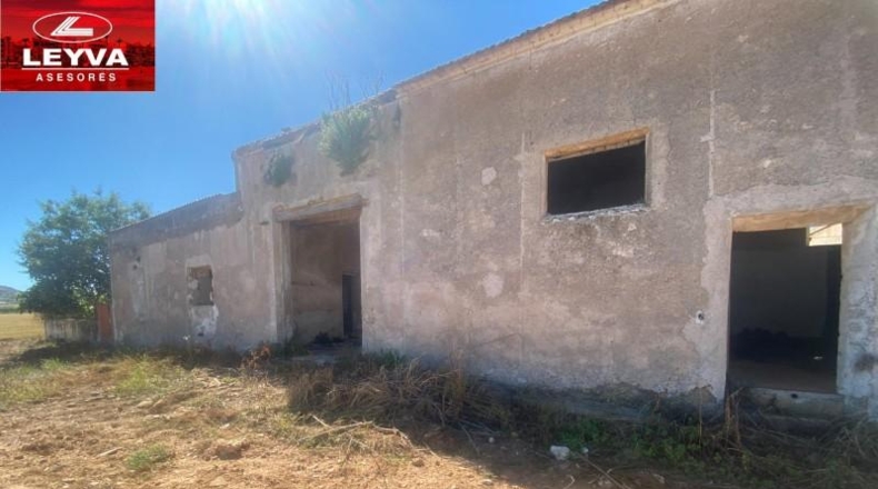 Murcia - Fuente Álamo de Murcia - 1500m2