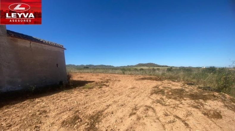 Murcia - Fuente Álamo de Murcia - 1500m2