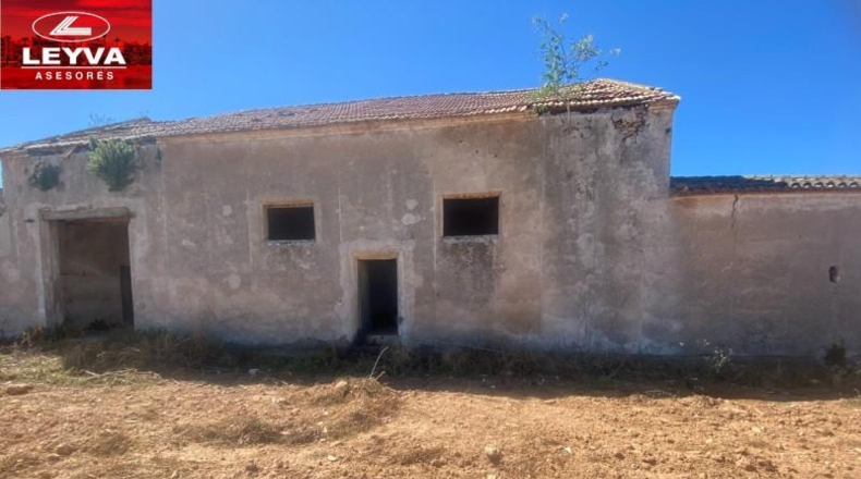 Murcia - Fuente Álamo de Murcia - 1500m2