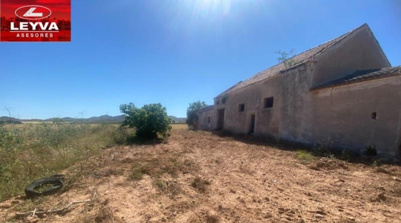 Murcia - Fuente Álamo de Murcia - 1500m2