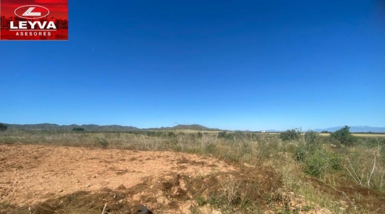 Murcia - Fuente Álamo de Murcia - 1500m2