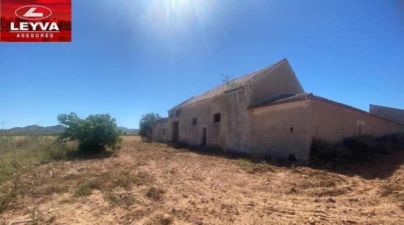 Murcia - Fuente Álamo de Murcia - 1500m2