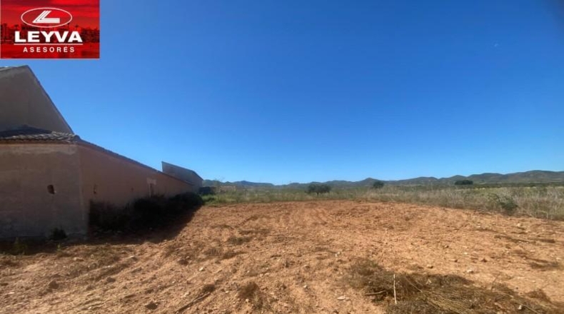 Murcia - Fuente Álamo de Murcia - 1500m2