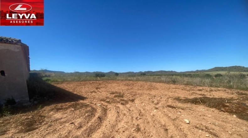 Murcia - Fuente Álamo de Murcia - 1500m2