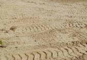 Sòl urbà en venda a la España, Sanlúcar de Barrameda, ref.: TR169085 foto