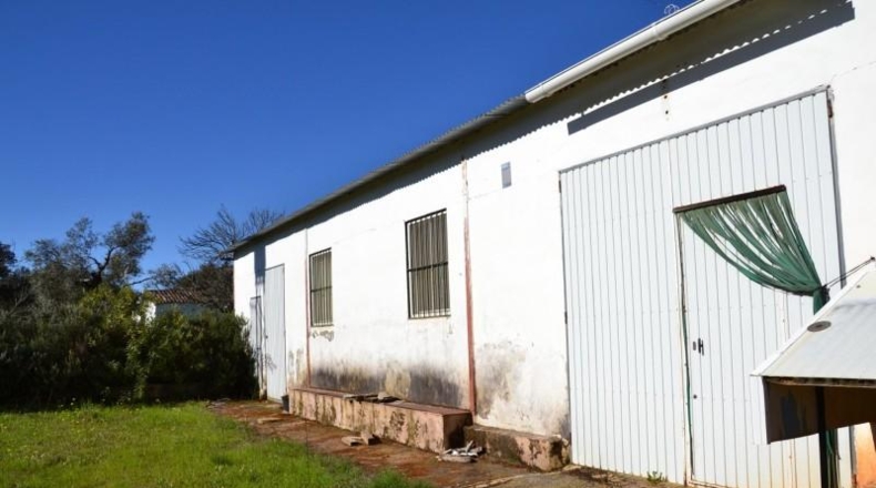 Badajoz - Segura de León - 1629m2