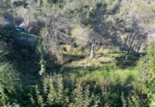 Non-developable land for sale on España, Canyelles, ref: TR137894 photo