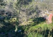 Non-developable land for sale on España, Canyelles, ref: TR137894 photo