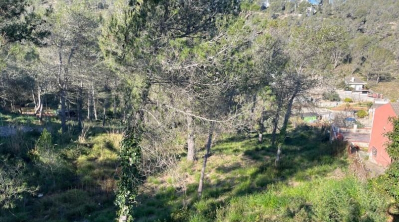 Barcelona - Canyelles - 1200m2