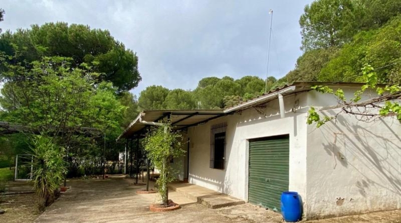 Córdoba - Córdoba - 3667m2