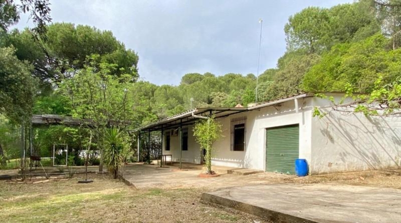 Córdoba - Córdoba - 3667m2