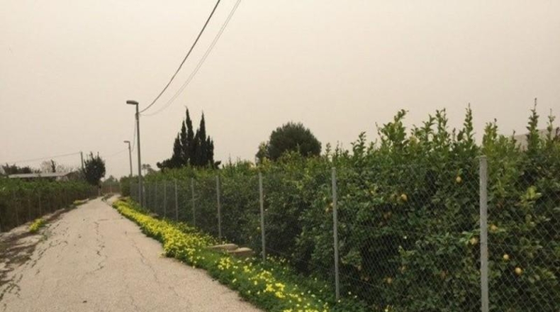Murcia - Múrcia - 3500m2
