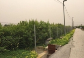 Terreno no urbanizable en venta en la España, Murcia, ref: TR312129 foto