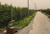 Terreno no urbanizable en venta en la España, Murcia, ref: TR312129 foto