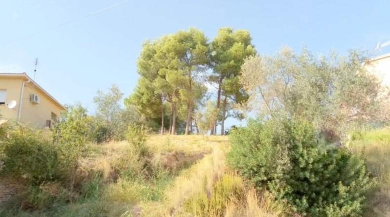 Barcelona - Esparreguera - 650m2