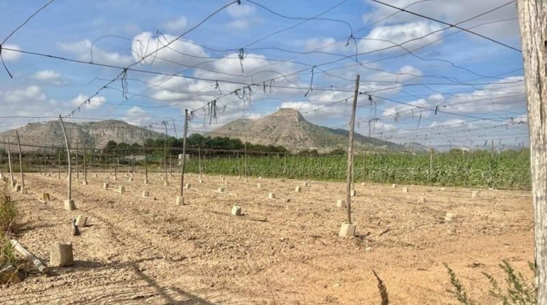 Alicante - Аспе - 17200m2