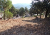 Parcel·la urbanitzable en venda a la España, Avinyó, ref.: TR118634 foto