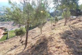 Avinyó 989&nbsp;m² 