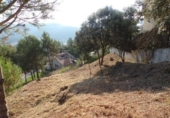 Parcel·la urbanitzable en venda a la España, Avinyó, ref.: TR118634 foto