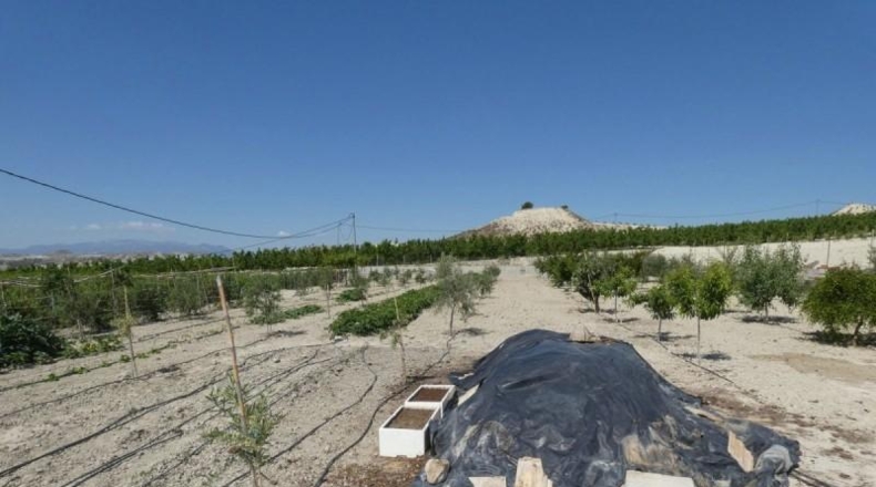 Murcia - Alguazas - 3346m2