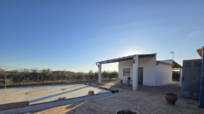 Murcia - Alguazas - 3346m2