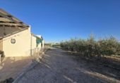 Finca rústica en venda a la España, Alguazas, ref.: TR372653 foto