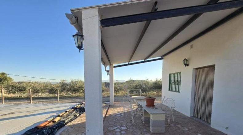 Murcia - Alguazas - 3346m2