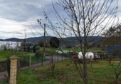 Parcel·la urbanitzable en venda a la España, Lazana, ref.: TR358631 foto