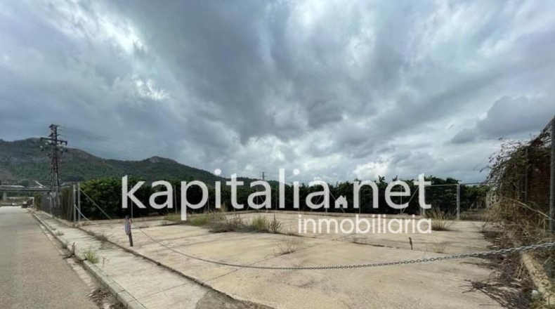 Valencia - Novelé - 7427m2