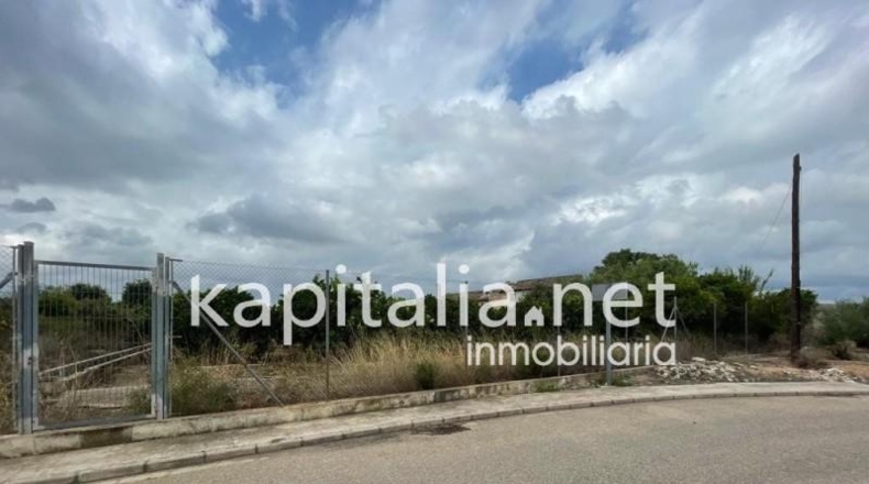 Valencia - Novelé - 7427m2