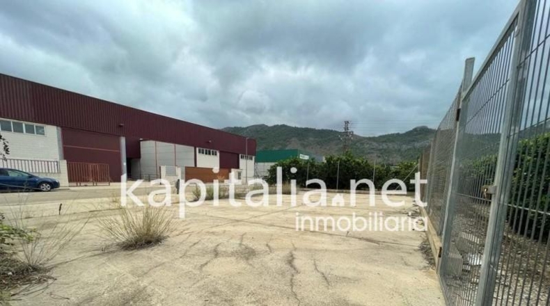 Valencia - Novelé - 7427m2