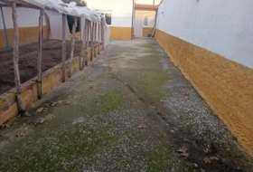 Foto 10