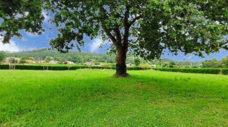 Кантабрия - Torrelavega - 4004m2