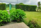 Terreny no urbanitzable en venda a la España, Vioño de Piélagos, ref.: TR317970 foto
