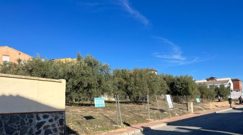Granada - Albolote - 449m2