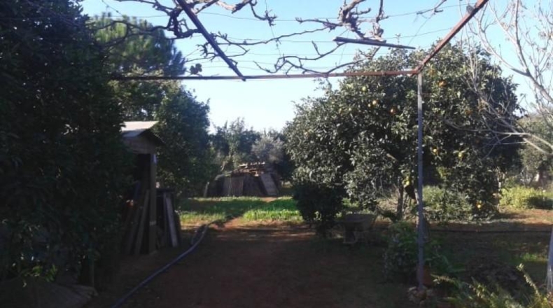 Sevilla - Dos Hermanas - 2200m2