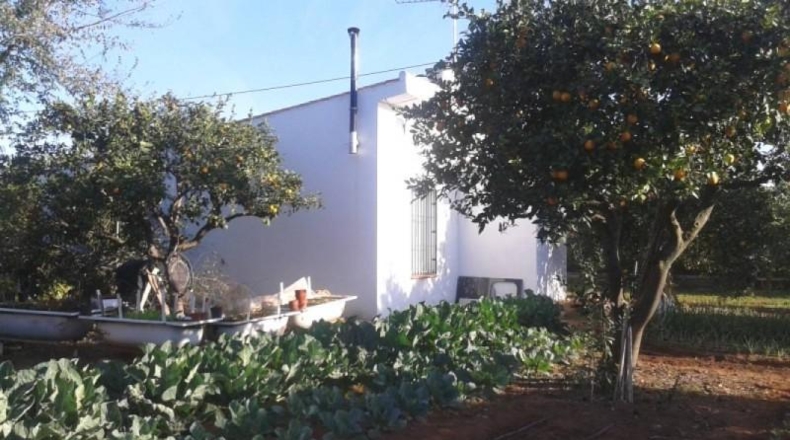 Sevilla - Dos Hermanas - 2200m2